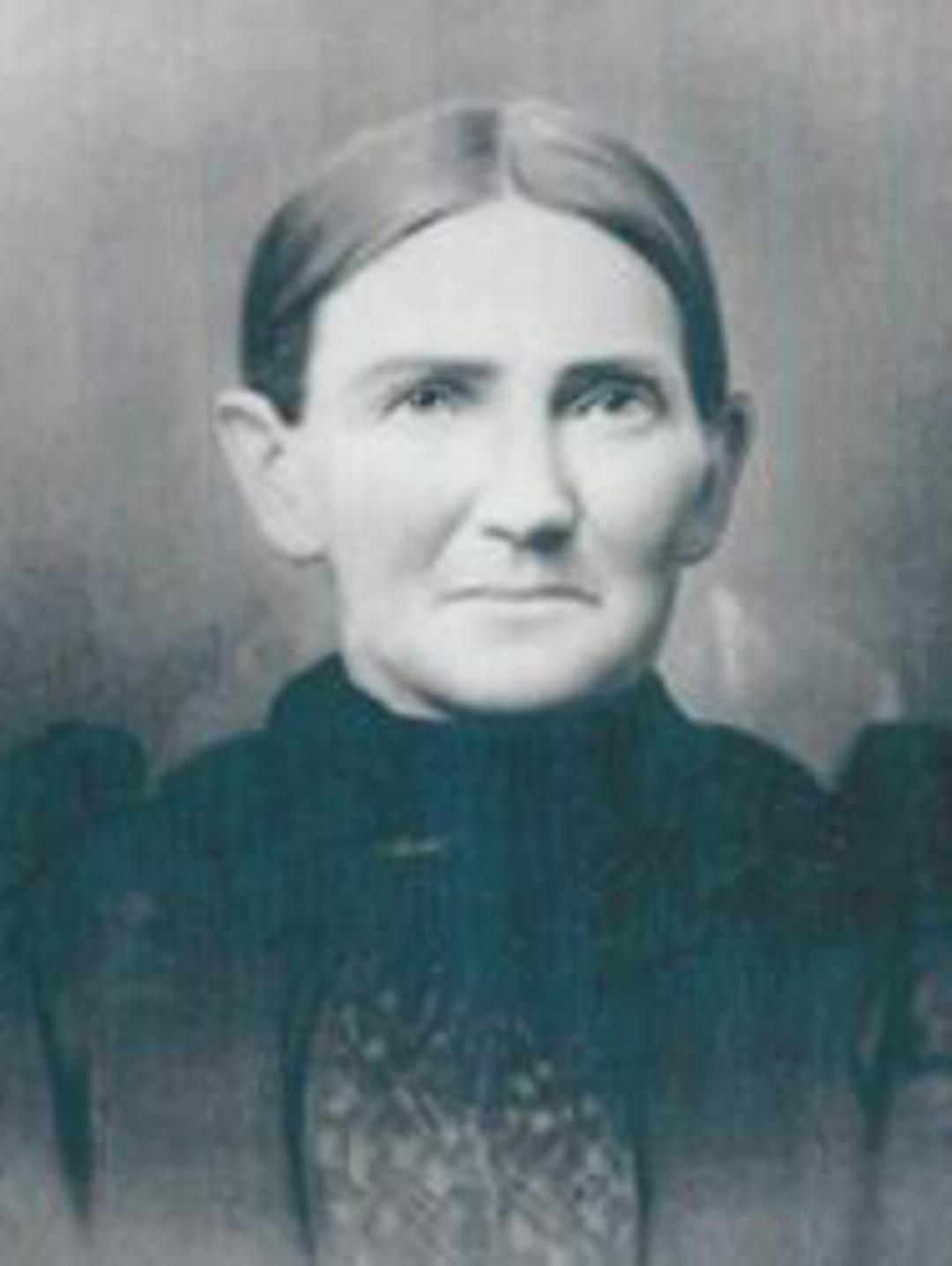 Hannah Jane Driggs (1839 - 1908) Profile